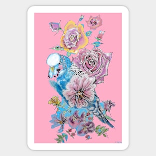 Blue Budgie and Rose Watercolor Painting on Pink Sticker